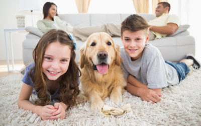 Don’t Miss Eliminating These Hidden Asthma Triggers in Your Home