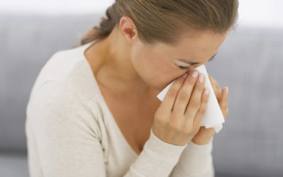 Why You Need an Air Knight Air Purification System in Your Home: Benefits and Solutions