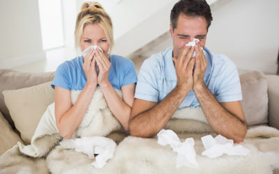 How UV Light Air Cleaning Systems Work in Punta Gorda, FL