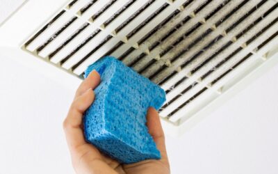 Signs You Have Poor Air Quality in Your Home
